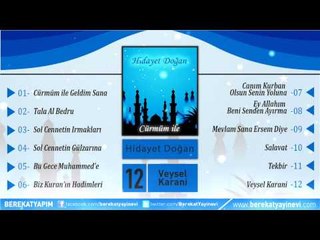 Hidayet Doğan - Veysel Karani