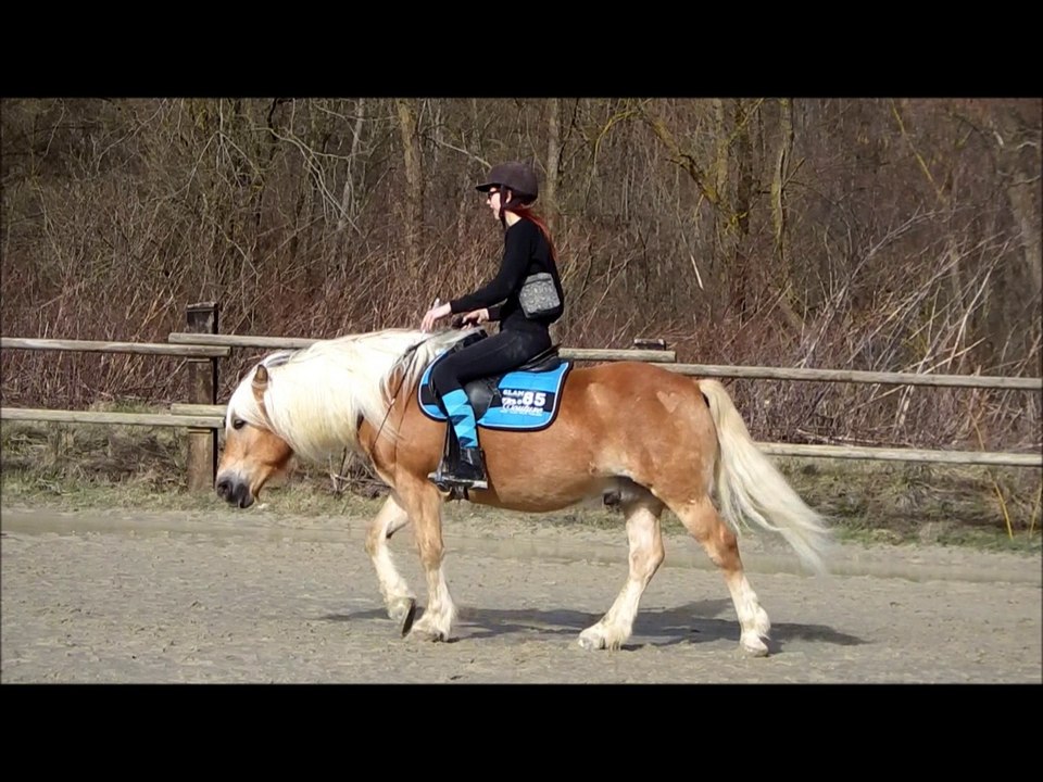 Séance du 22.02.2016 pony au top!