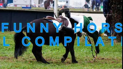 Best and funniest horse fails and videos compilation