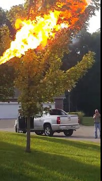 Dude Uses Flamethrower To Take Out Hornets Nest