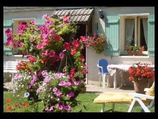Montage       fleurs du 31 juillet 2011
