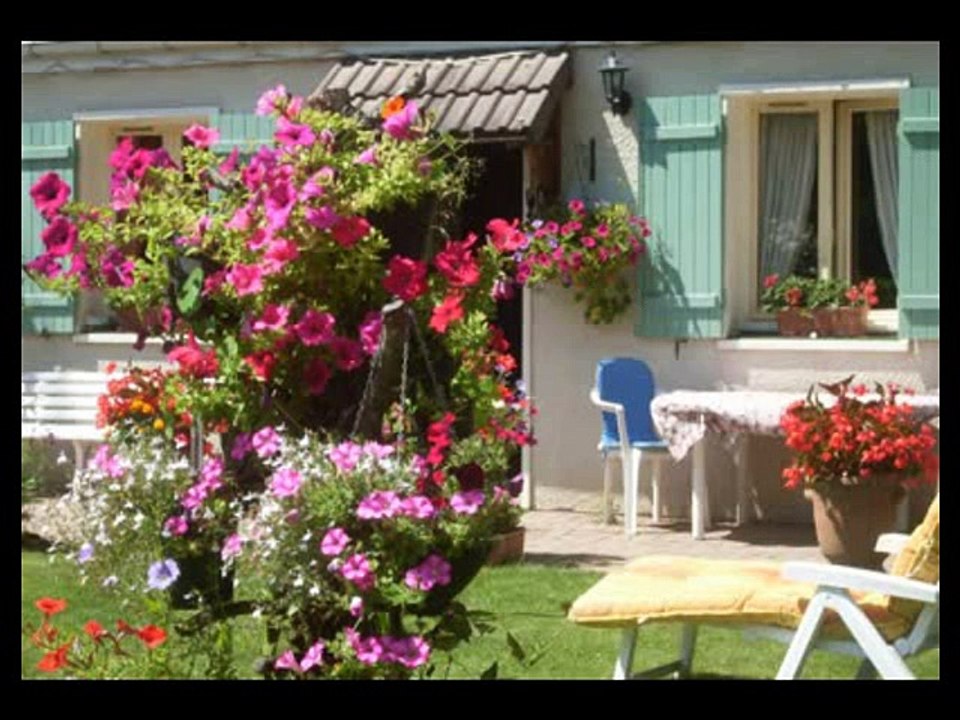 Montage       fleurs du 31 juillet 2011