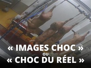 L214 : 'images choc' d'une réalité pire encore ?