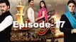 Preet Na Kariyo Koi Episode 17 Full HUM TV Drama 23 Feb 2016