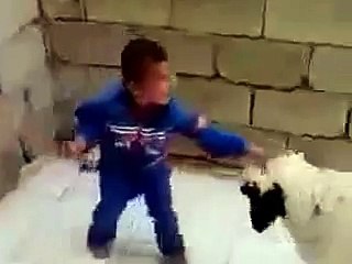 Küçük Çocuk Koyun Komedi   (gülme garanti)