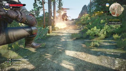 The Witcher 3 Overkill trophy attempt and WTF ?!?!