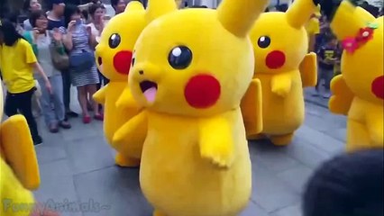 Epic Cats - Funny Cats Compilation