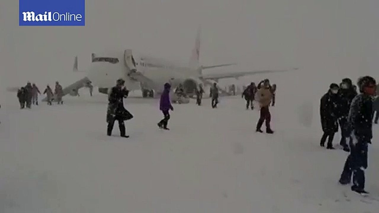 В Японии аварийно сел самолет. kratko-news.com