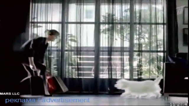 Реклама корма для собак Cesar корм для собак цезарь