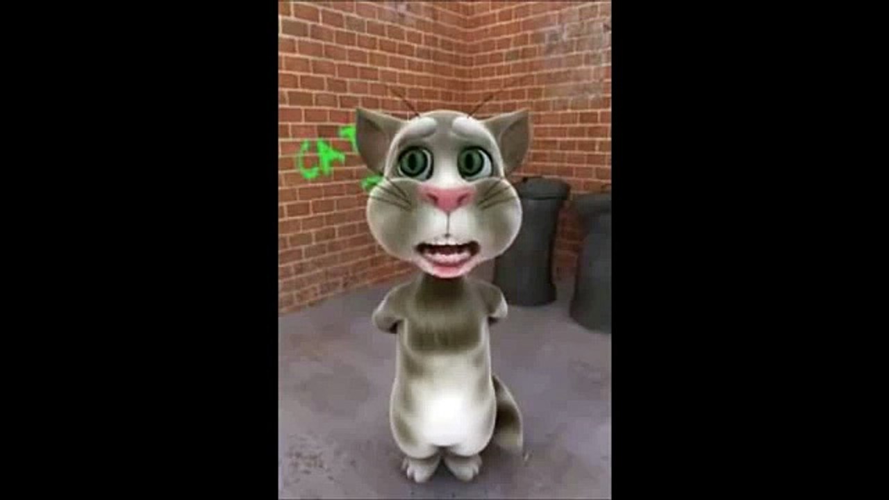 Talking Tom Cat Funny Videos