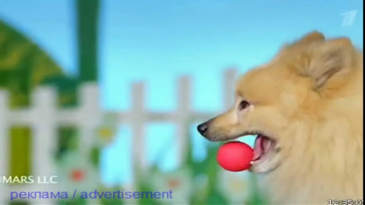 Чаппи  Chappi  корм для собак  реклама чаппи  р...