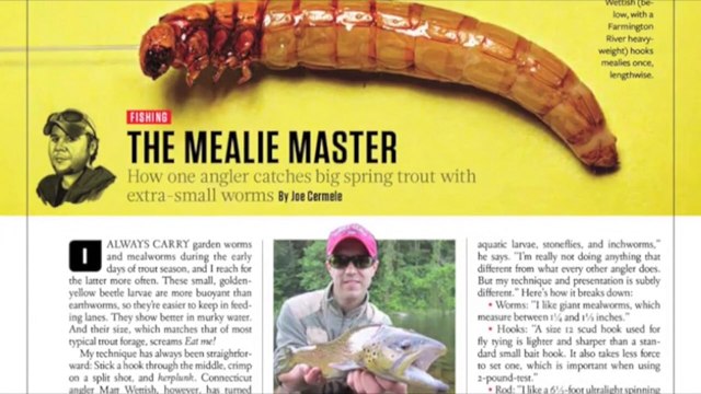Trout Lessons from the Mealie Master (1 of 4)