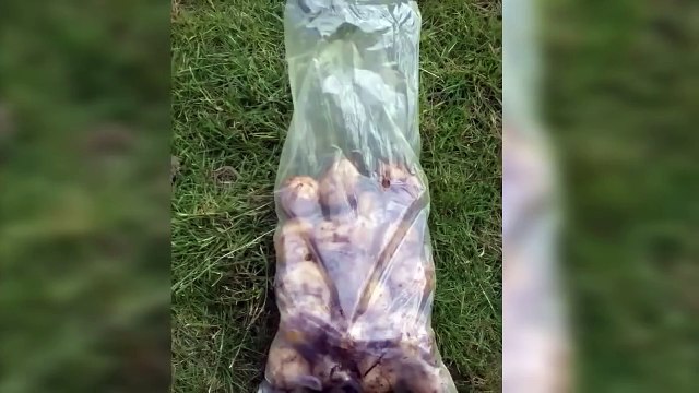 Самый быстрый способ почистить Картошку