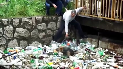 Удивительное спасение Животных, трогательная история