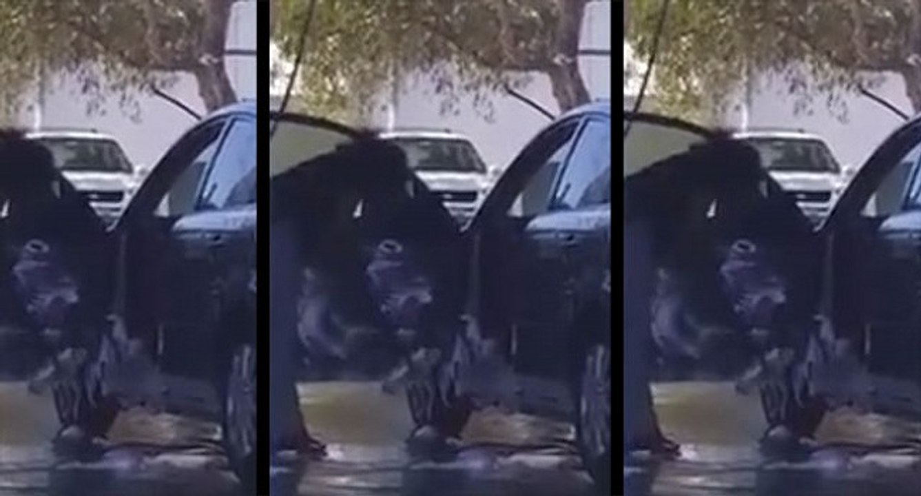 Cette femme a une étonnante façon de laver sa voiture