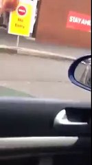 This Man Likes Getting Taken For Walks In Leash  Funny Videos 2016