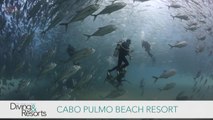 World's Best Diving & Resorts: Cabo Pulmo Resort