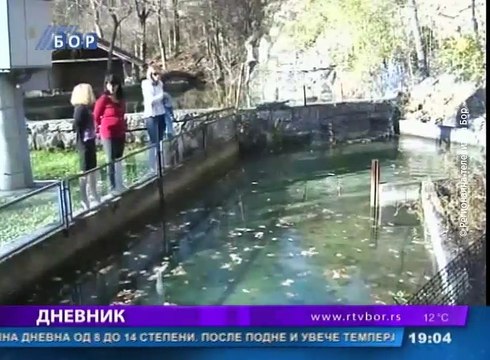 Dnevnik, 23. februar 2016. (RTV Bor)