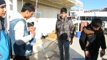 Ayvacık'ta Denizde 87 Mülteci Yakalandı