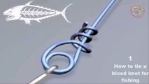 Top 6 Fishing Knots (Hook)