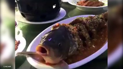کھانے کی میز پررکھی مچھلی زندہ ہوگئی