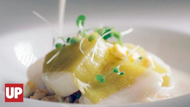 Genius Seafood Chef Trent Pierce | HUMAN