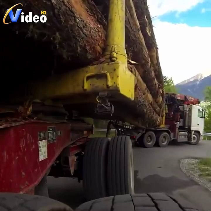 Best Truck Driver