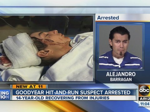 Goodyear hit and run suspect arrested