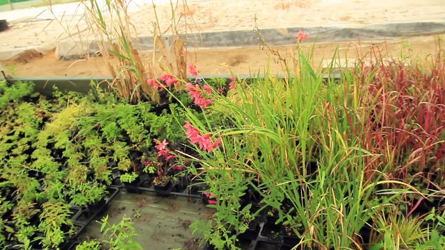 CFA AGRICOLES PUBLIQUES DE BRETAGNE HD 1280x720