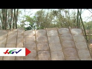 Làng nghề bánh tráng Phú Hòa Đông | HGTV