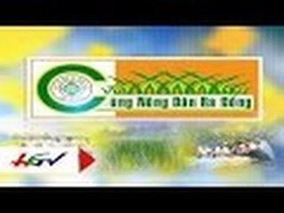 Những giải pháp diệt ốc bươu vàng, lúa cỏ và cỏ dại đầu vụ Đông Xuân | HGTV