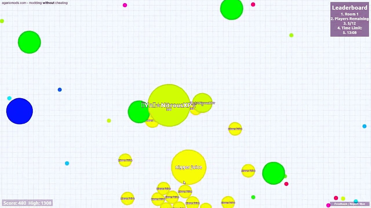 Agario Hunger Games #6