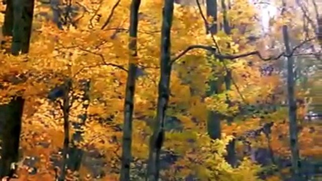 A irmã que dizia DEUS É FIÉL-, Veja o que aconteceu - Evangélicos da Ilha