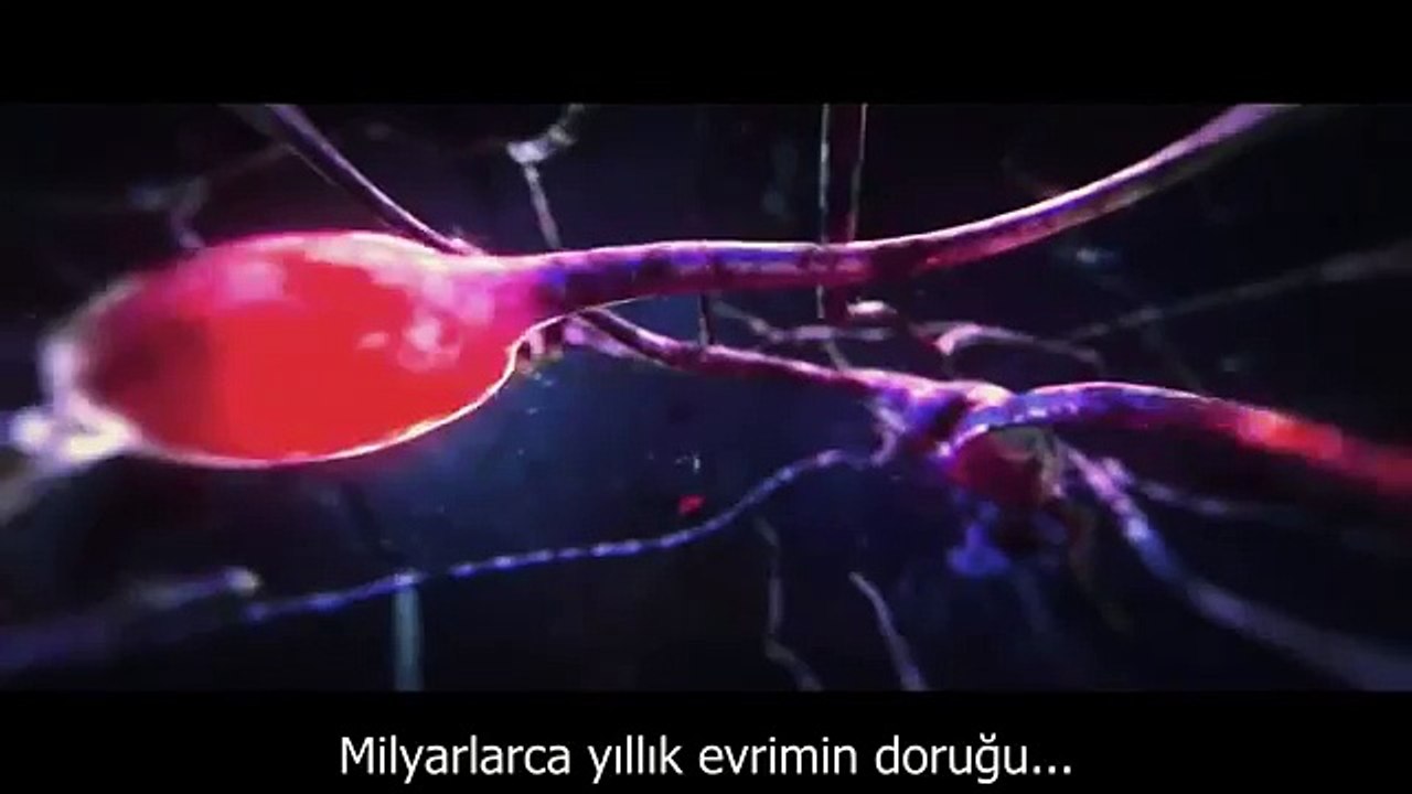 zirtapoz 2 full izle - Komedifilmlerim.com
