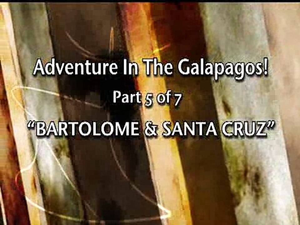Galapagos - Barto & Santa Cruz