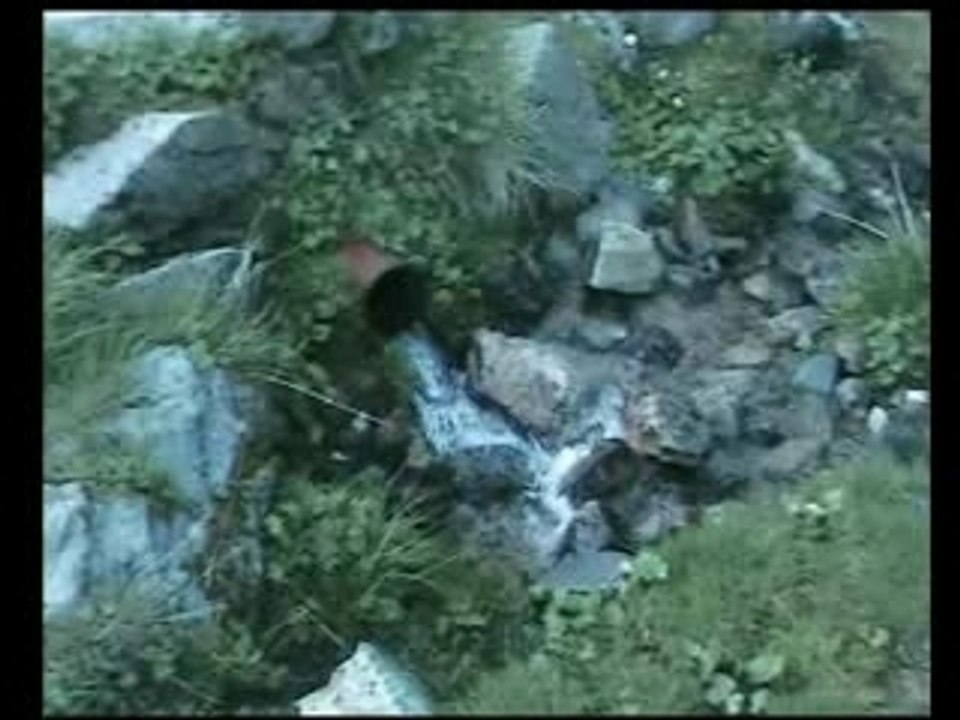 Le Lyon Longskate Crew a la freeride "Pipay Diot Longboard C