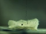 A Nano-Coating Repels Water