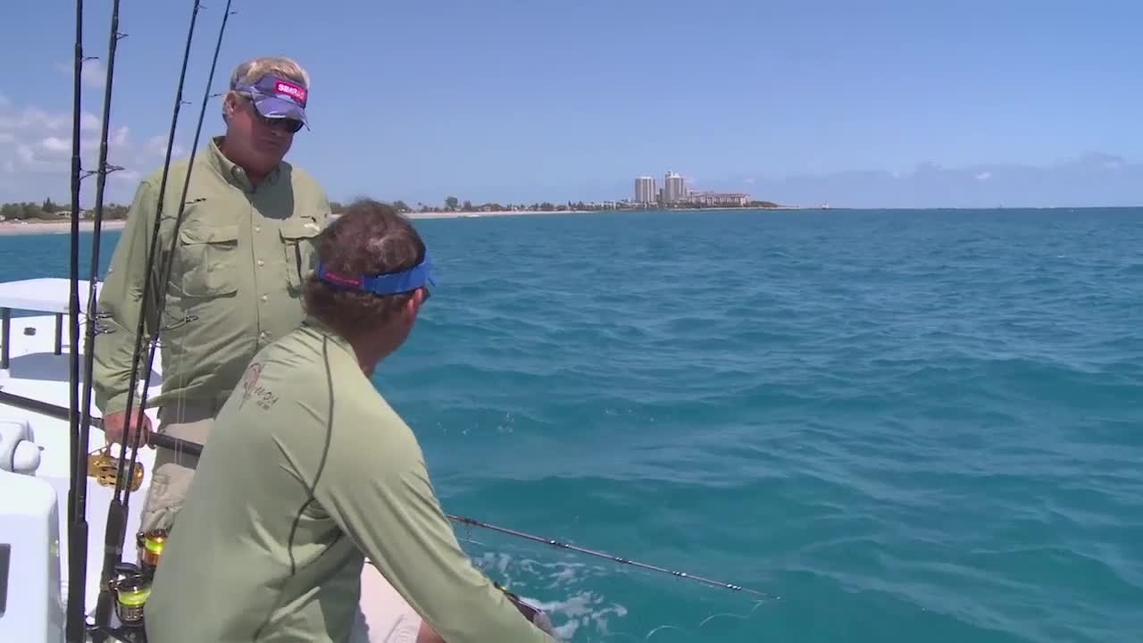 Kite Fishing for Spinners