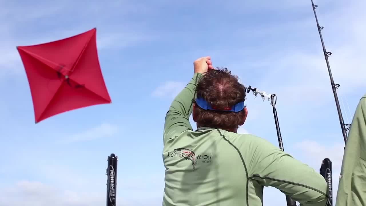 Sailfishing Kite Fishing on the Edge