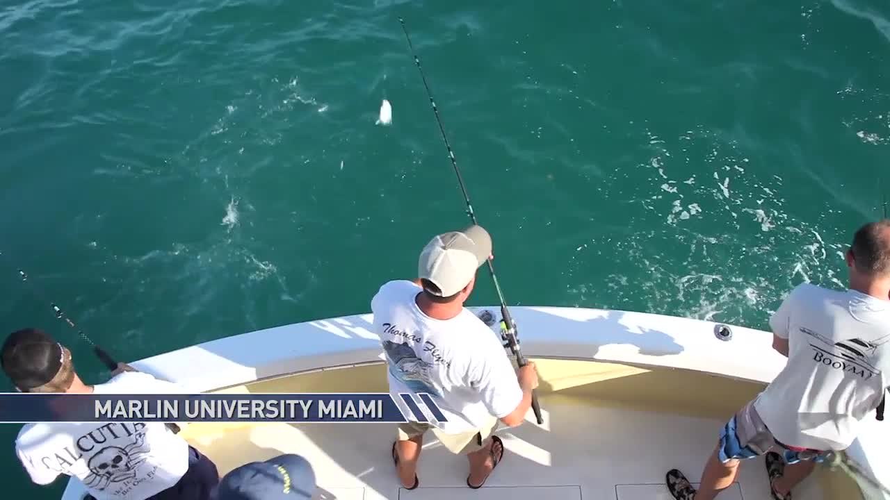 Marlin U 2014 - Miami Kite Fishing - Part 2