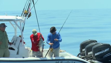 Pick Your Tuna
