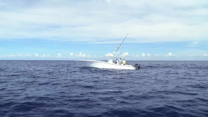 Bermuda Wahoo & Tuna