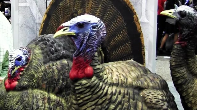 New Decoys: Avian-X Subspecies