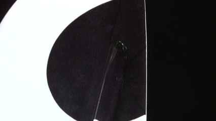 Liquid Force Trip with Index