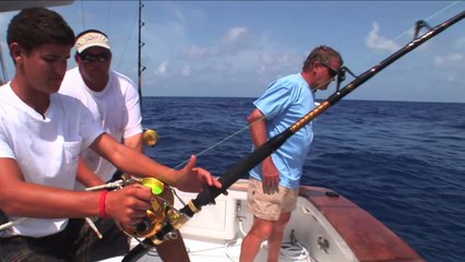 SFTV: Bermuda Tigers Part 1