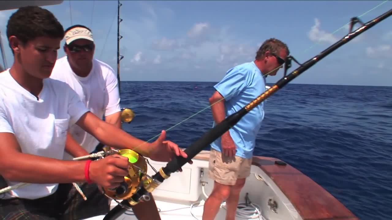 SFTV: Bermuda Tigers Part 1