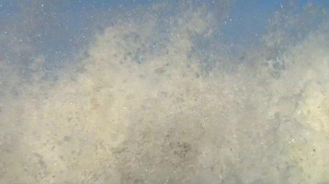 The Ride: TigÃ© Z1