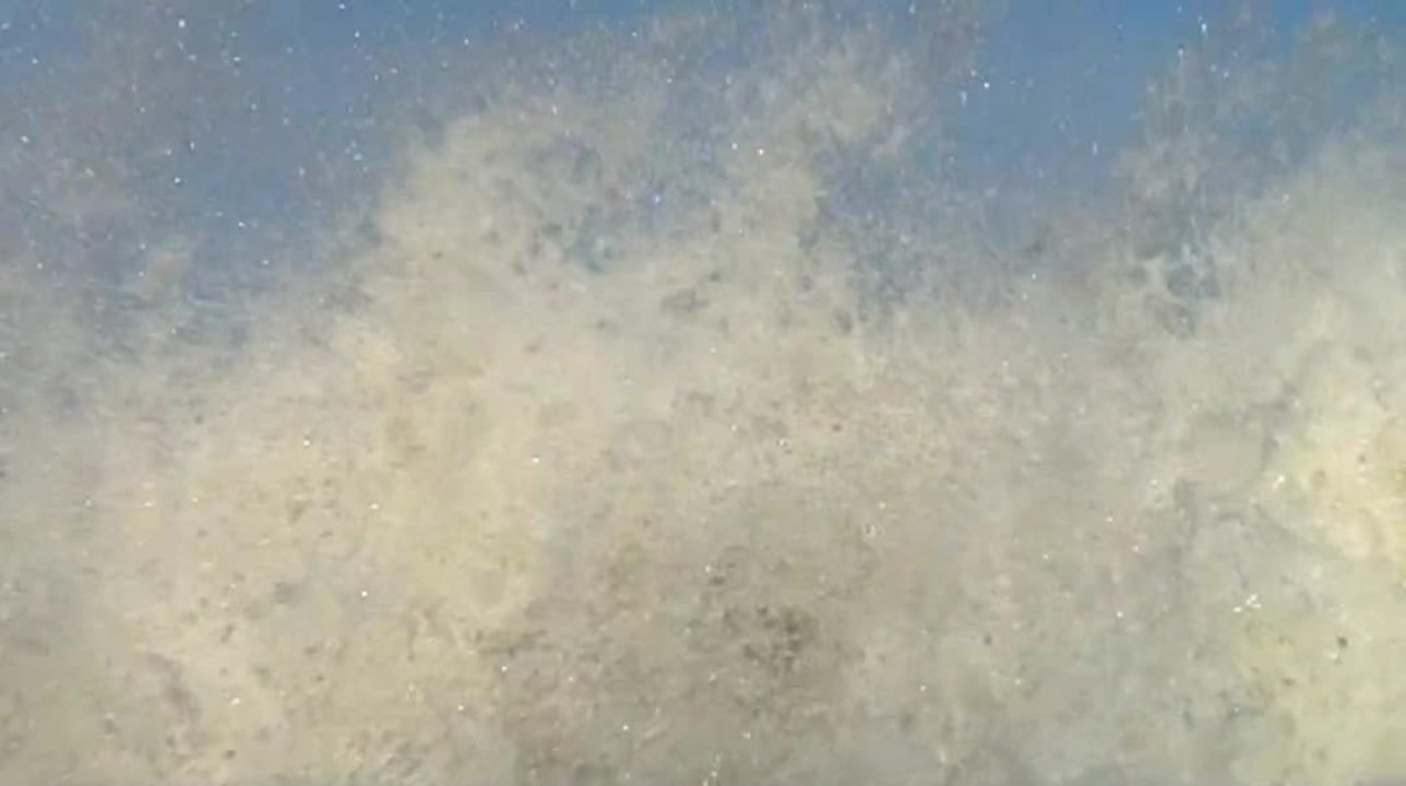 The Ride: TigÃ© Z1