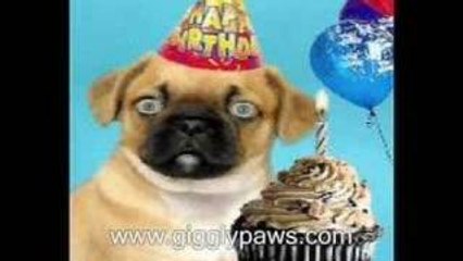 Pug Sings Happy Birthday - Hilariously Funny Dog Video Ecard
