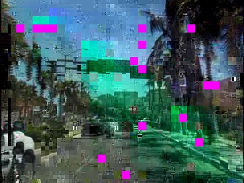 Marlin U Cabos San Lucas